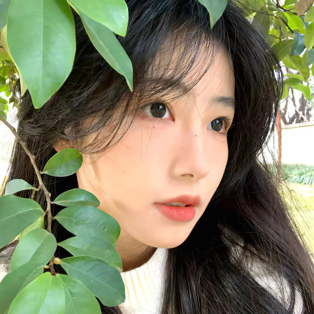 圣诞接班人 在线观看封面